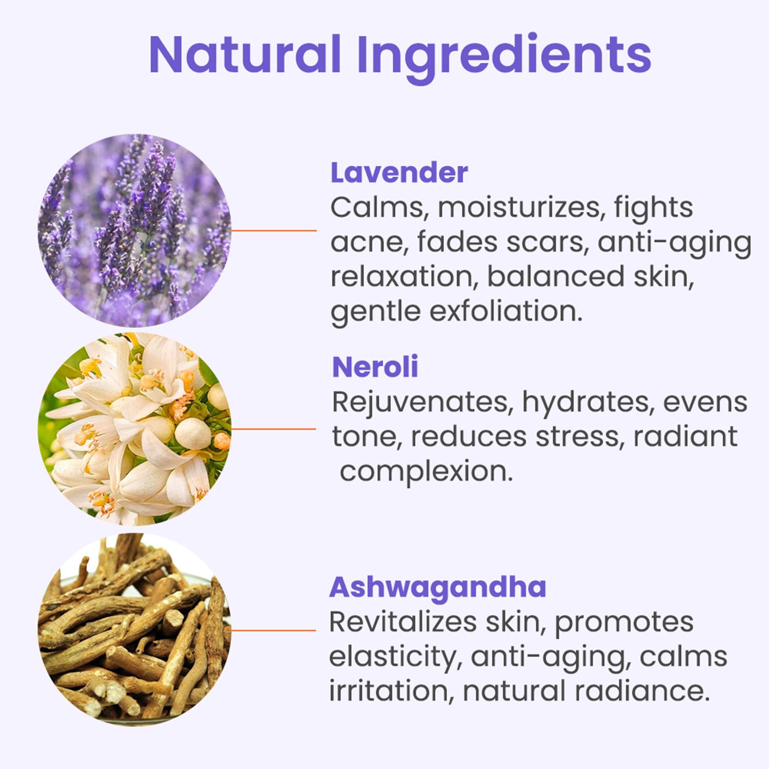 Lavender Night Cream - 50gm — View 5