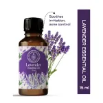 Lavender Essential Oil 10ml — View 19
