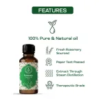 Rosemary Essential Oil 15ml — View 1