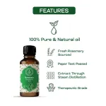 Rosemary Essential Oil 10ml — View 17