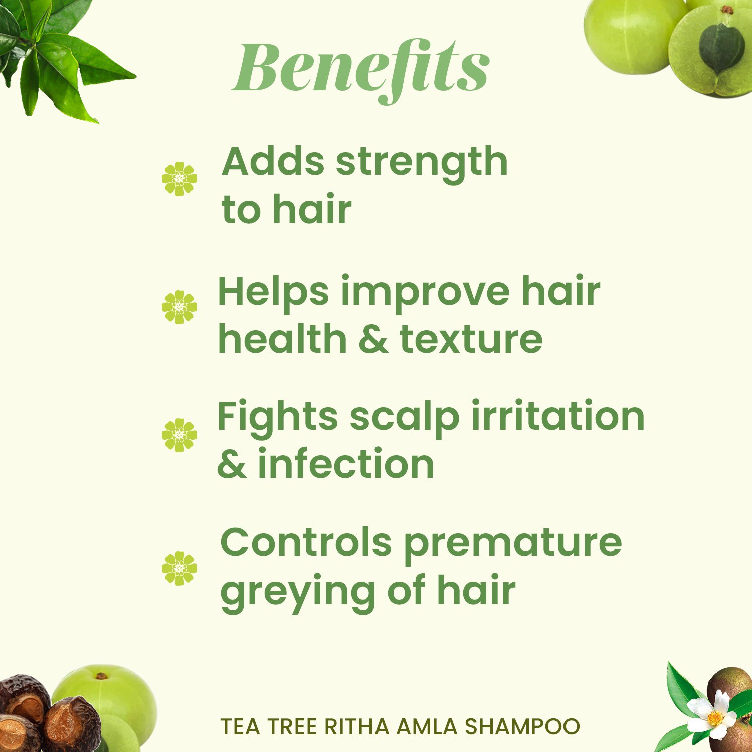 Tea Tree Ritha Amla Shampoo 200ml — View 1