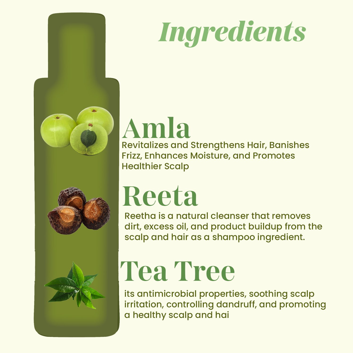 Tea Tree Ritha Amla Shampoo 200ml — View 3